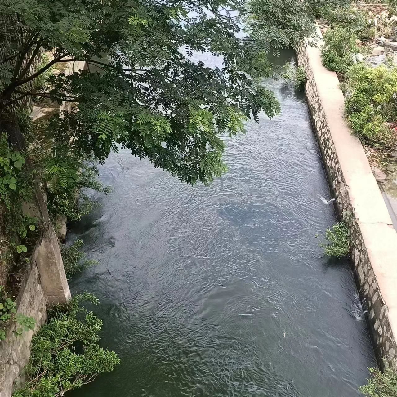 龙虎古镇旅行图片 1