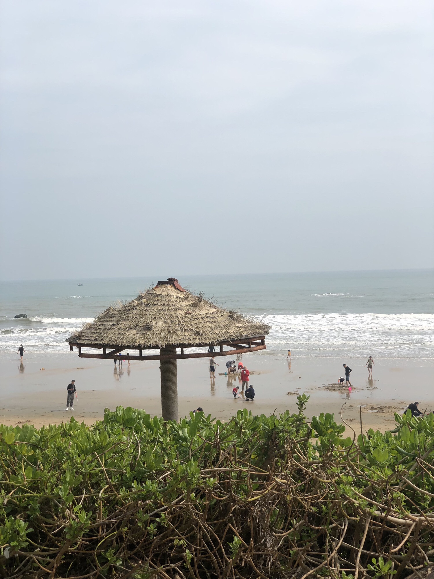 鼎龙湾国际海洋度假区旅行图片 1