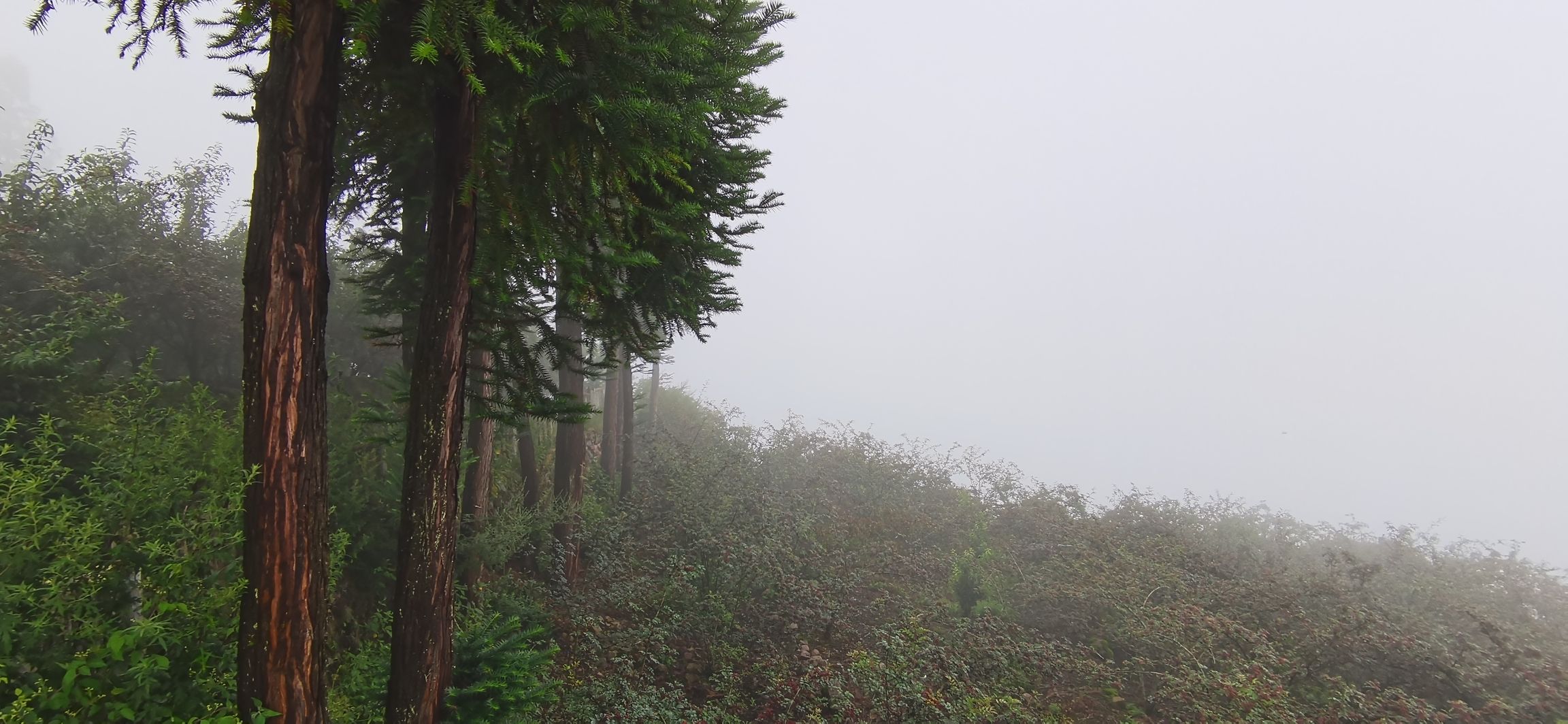 茶马古道王建城遗址旅行图片 3
