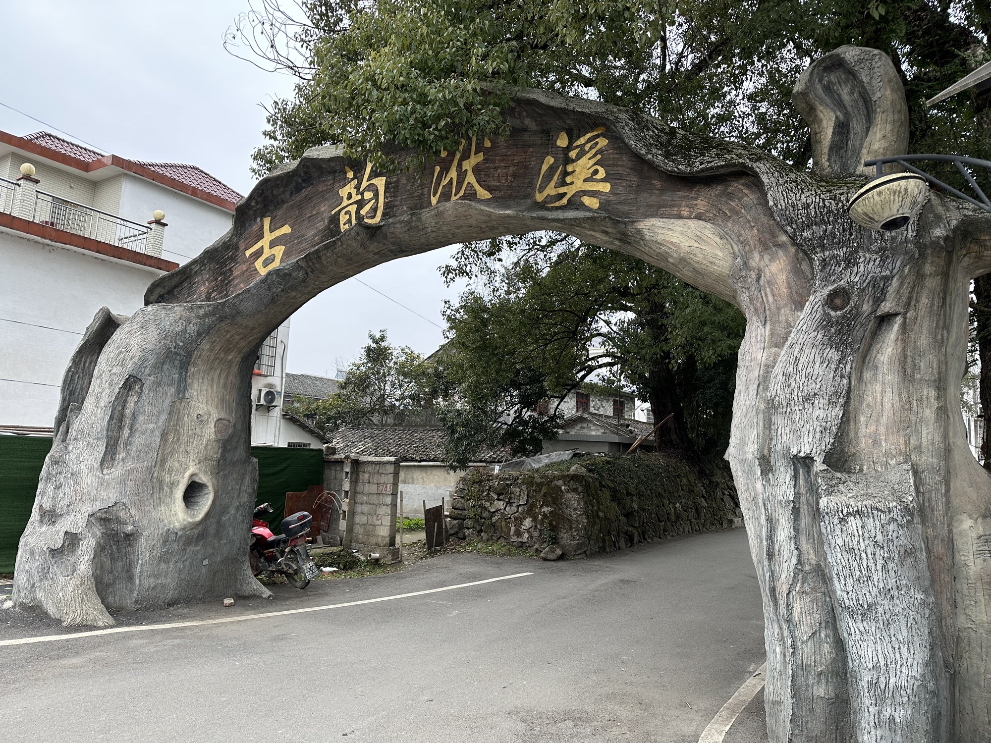 伏溪古树长廊旅行图片 1