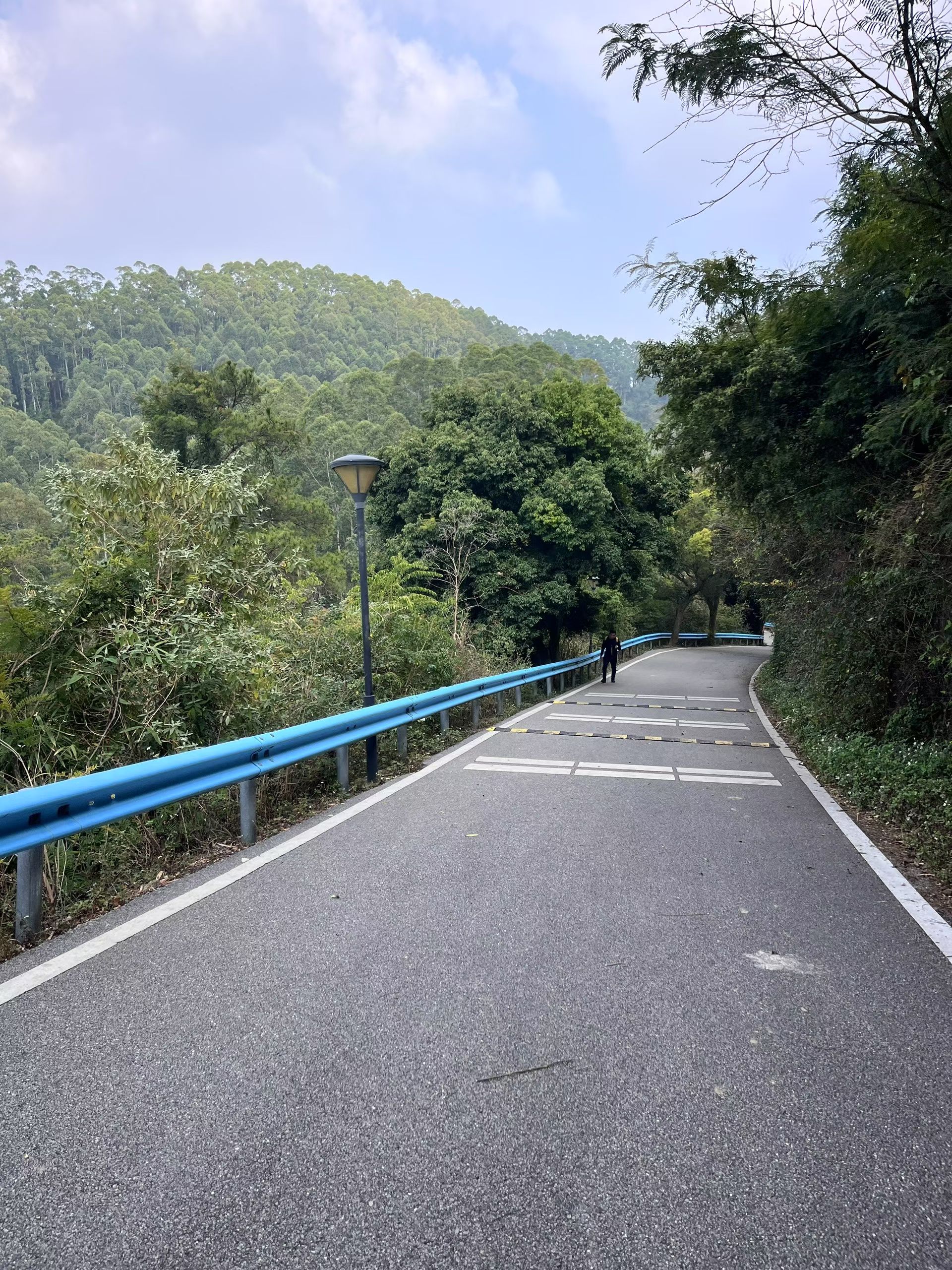 古亭山森林公园旅行图片 3