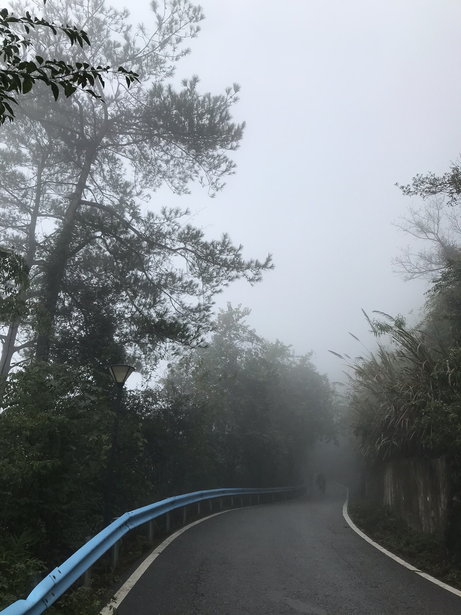 古亭山森林公园旅行图片 3