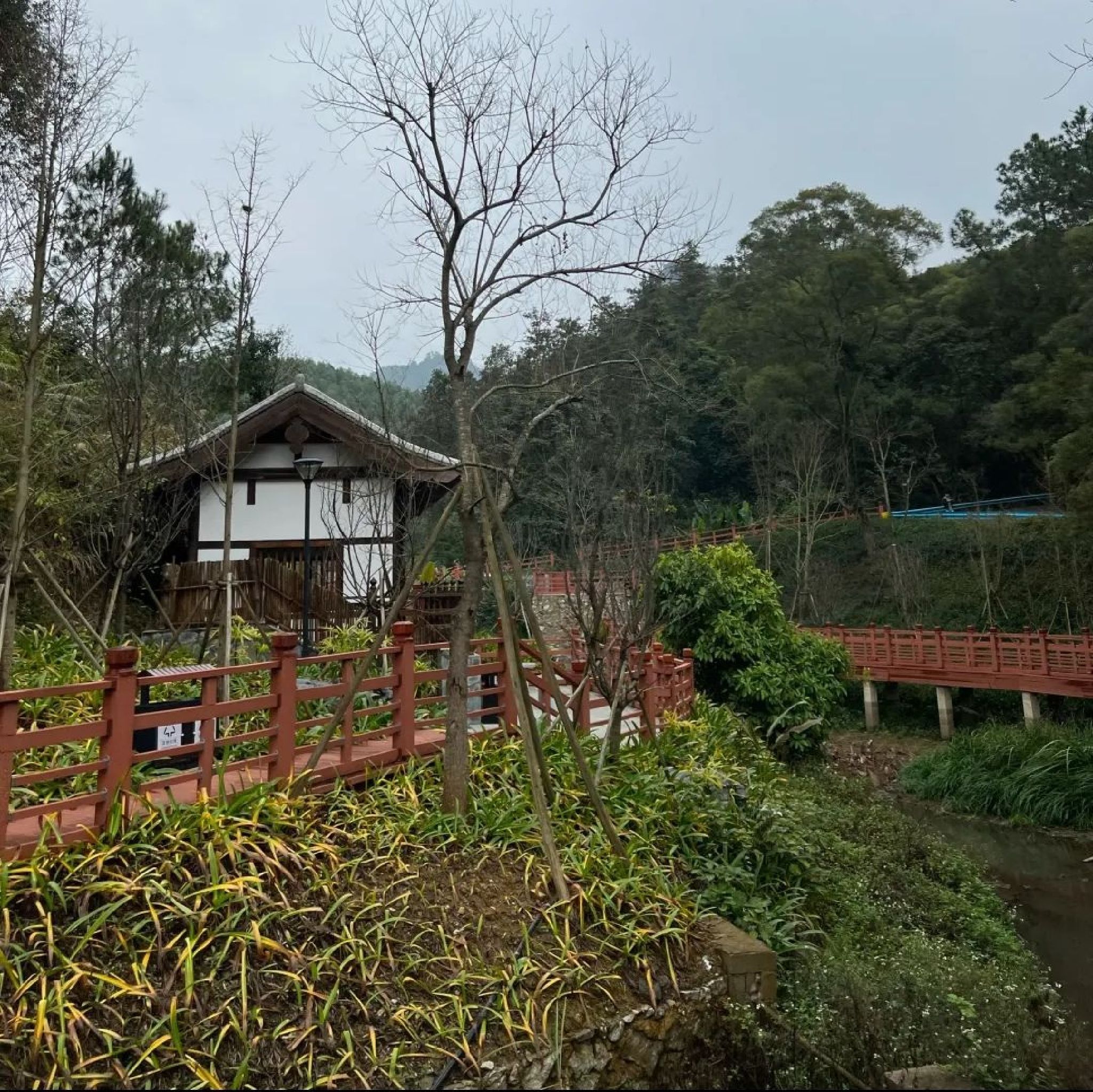 古亭山森林公园旅行图片 3