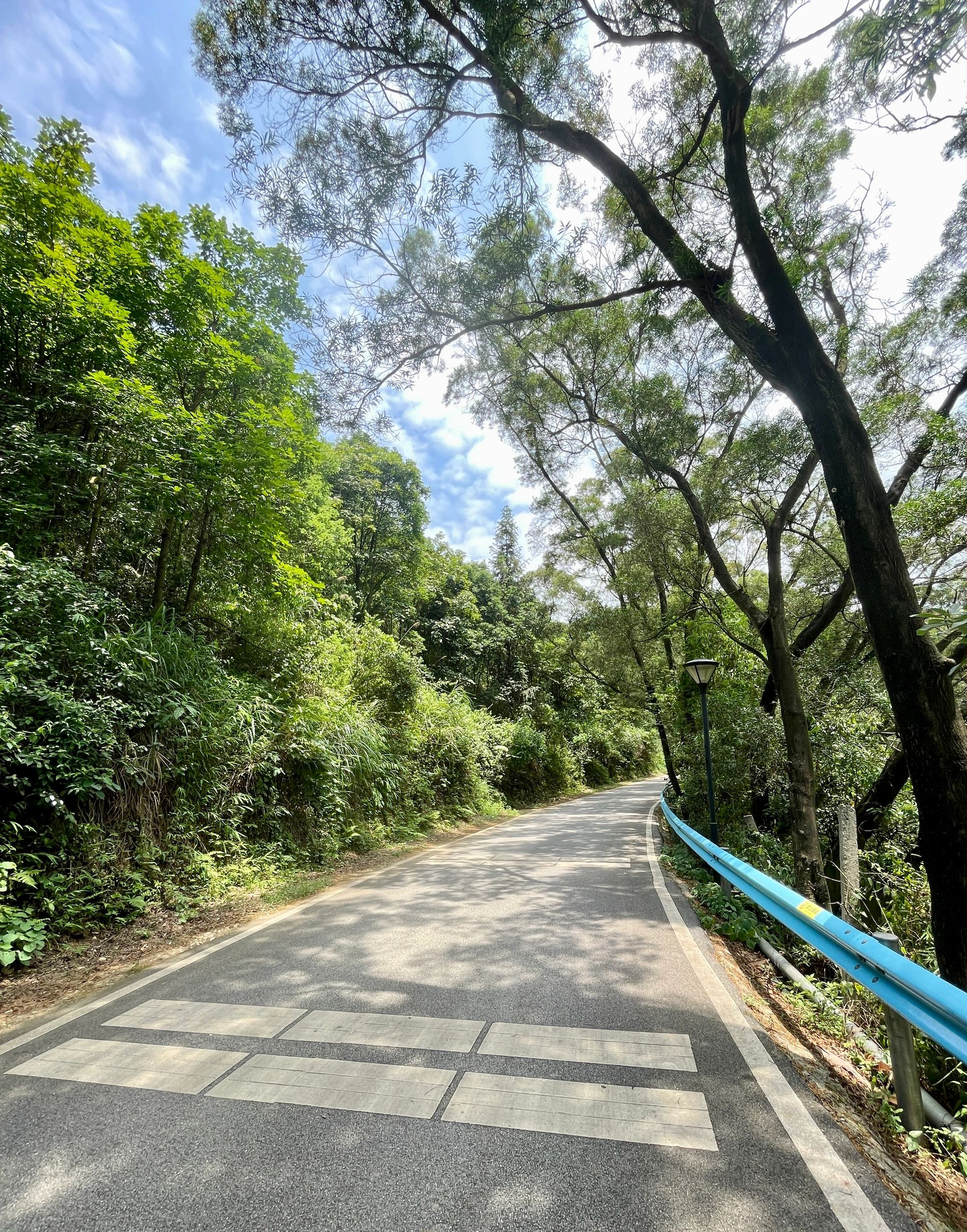 古亭山森林公园旅行图片 2