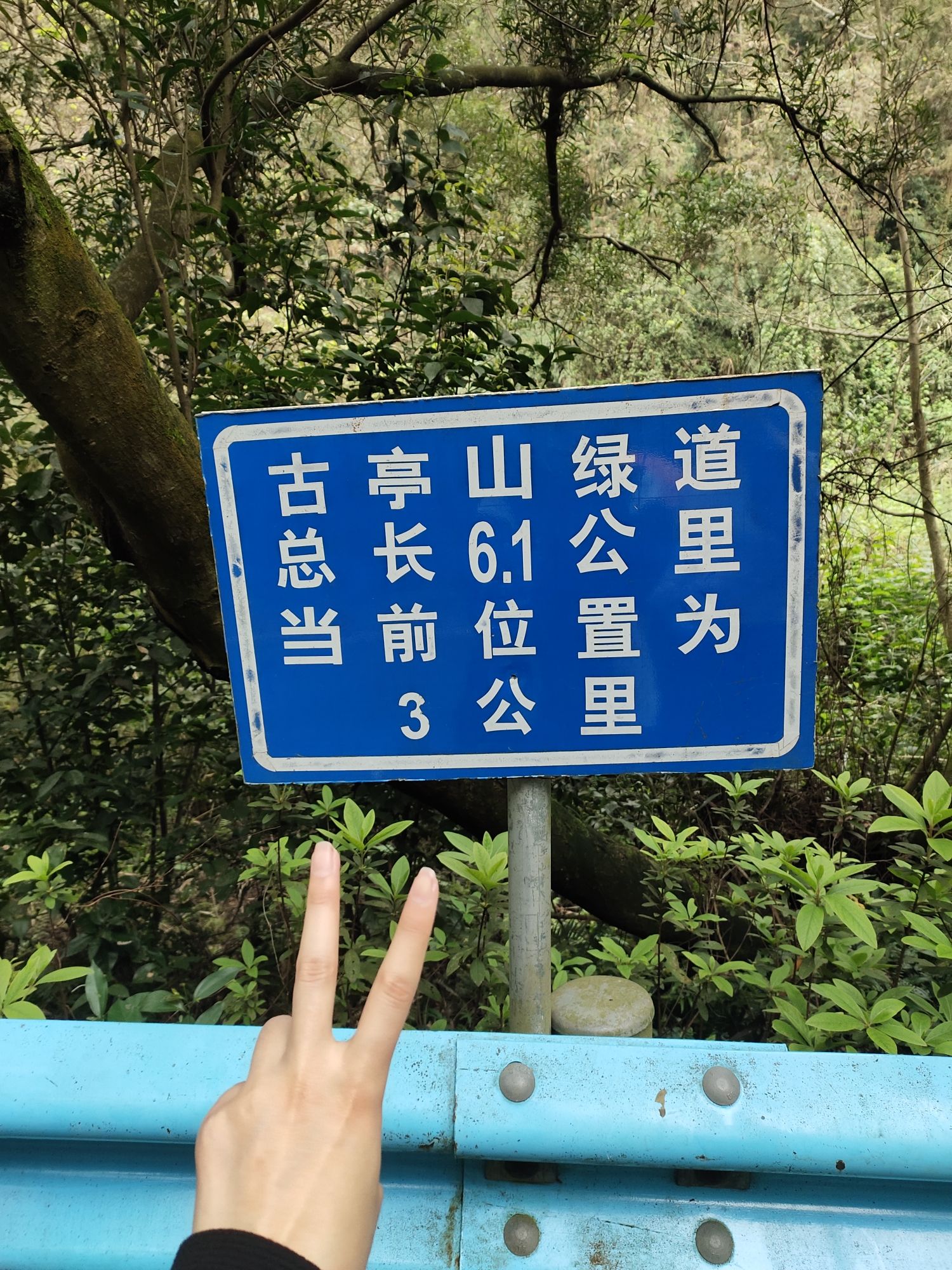 古亭山森林公园旅行图片 3