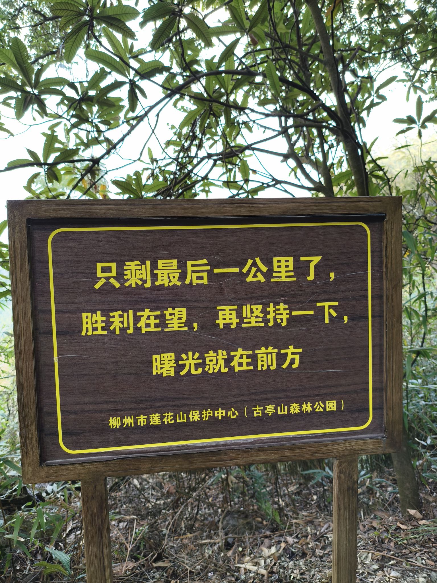 古亭山森林公园旅行图片 2