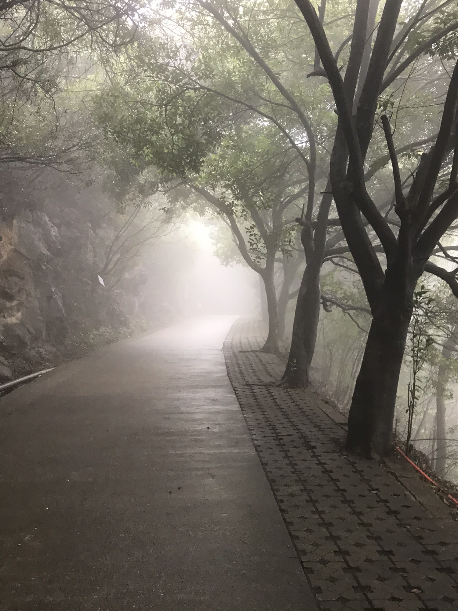 古亭山森林公园旅行图片 2