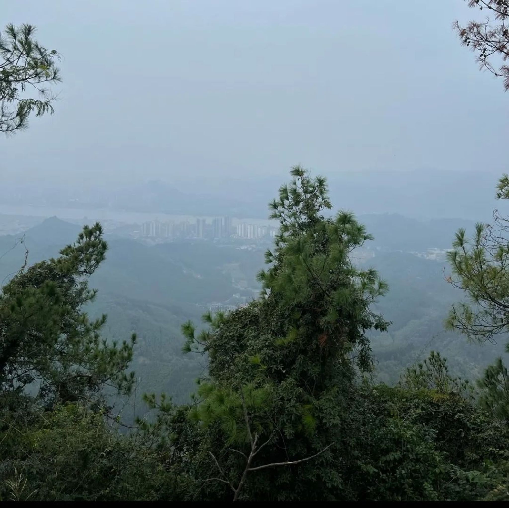 古亭山森林公园旅行图片 1