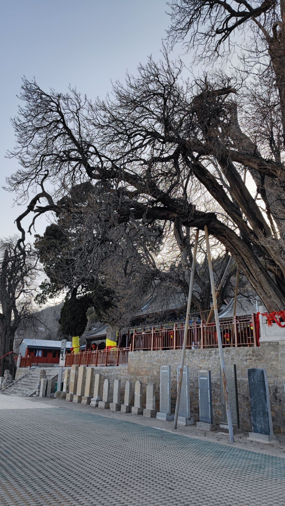 柏枝山扶苏祖庙风景区旅行图片 1