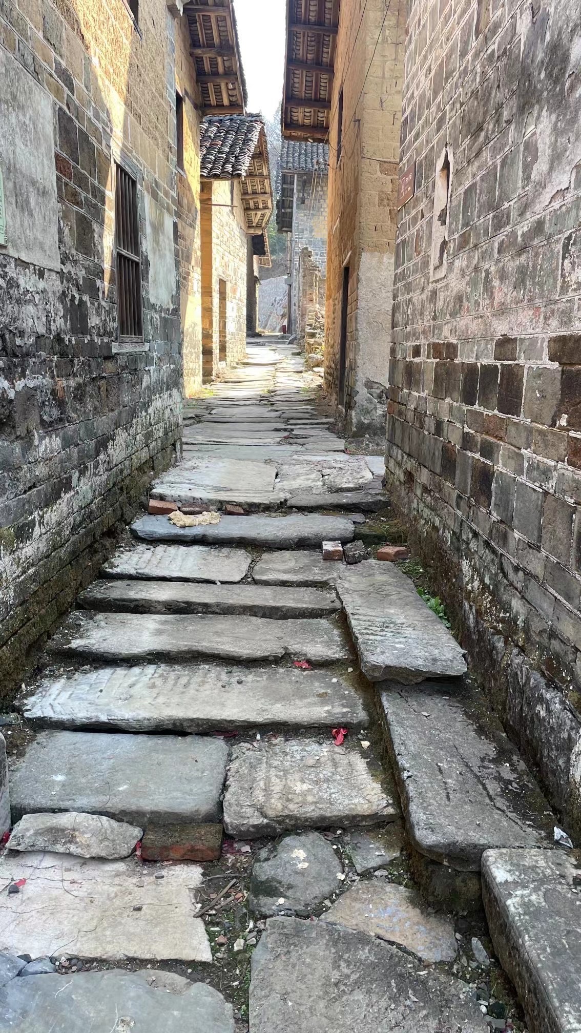 中田村古民居旅行图片 3