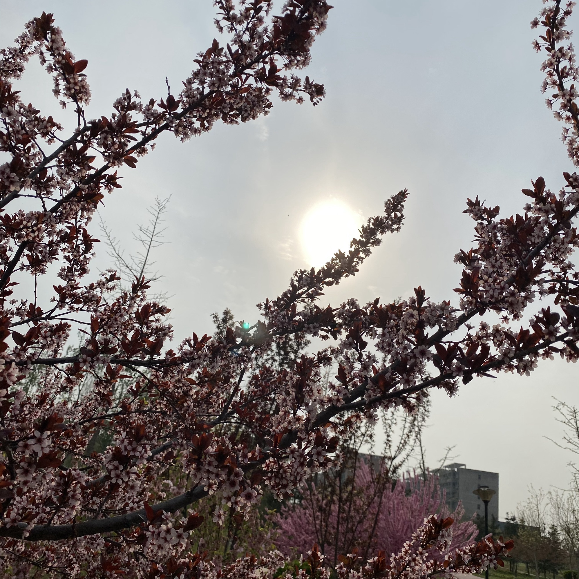 坛山公园旅行图片 2