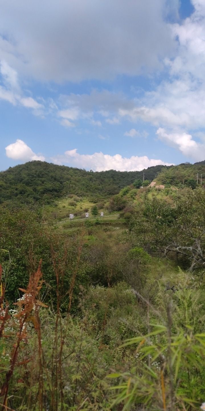 黄安坝景区旅行图片 3