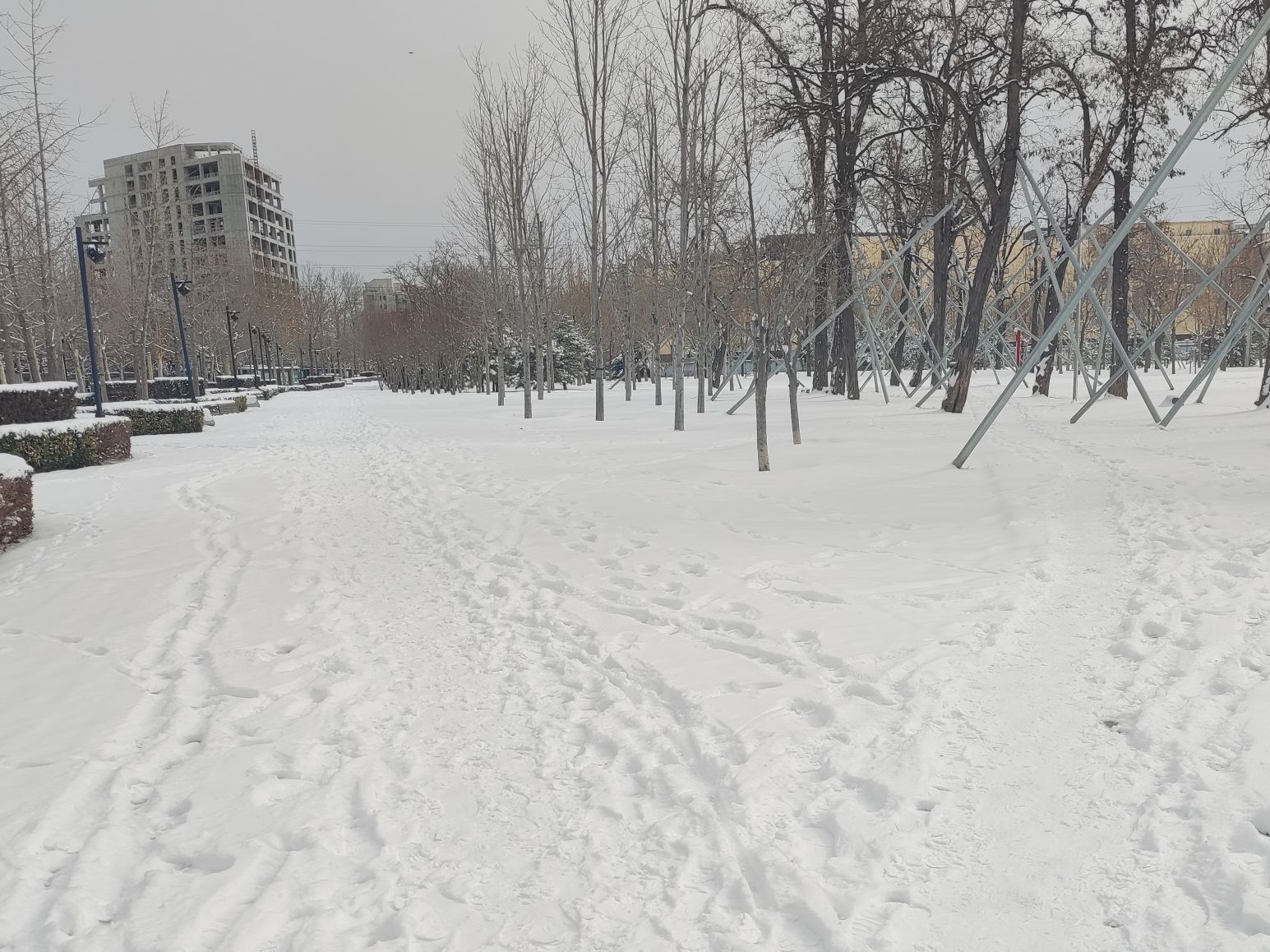 驼房营公园旅行图片 2