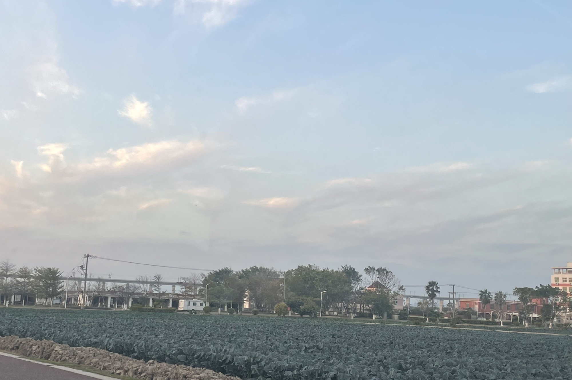 石狮湿地公园旅行图片 1