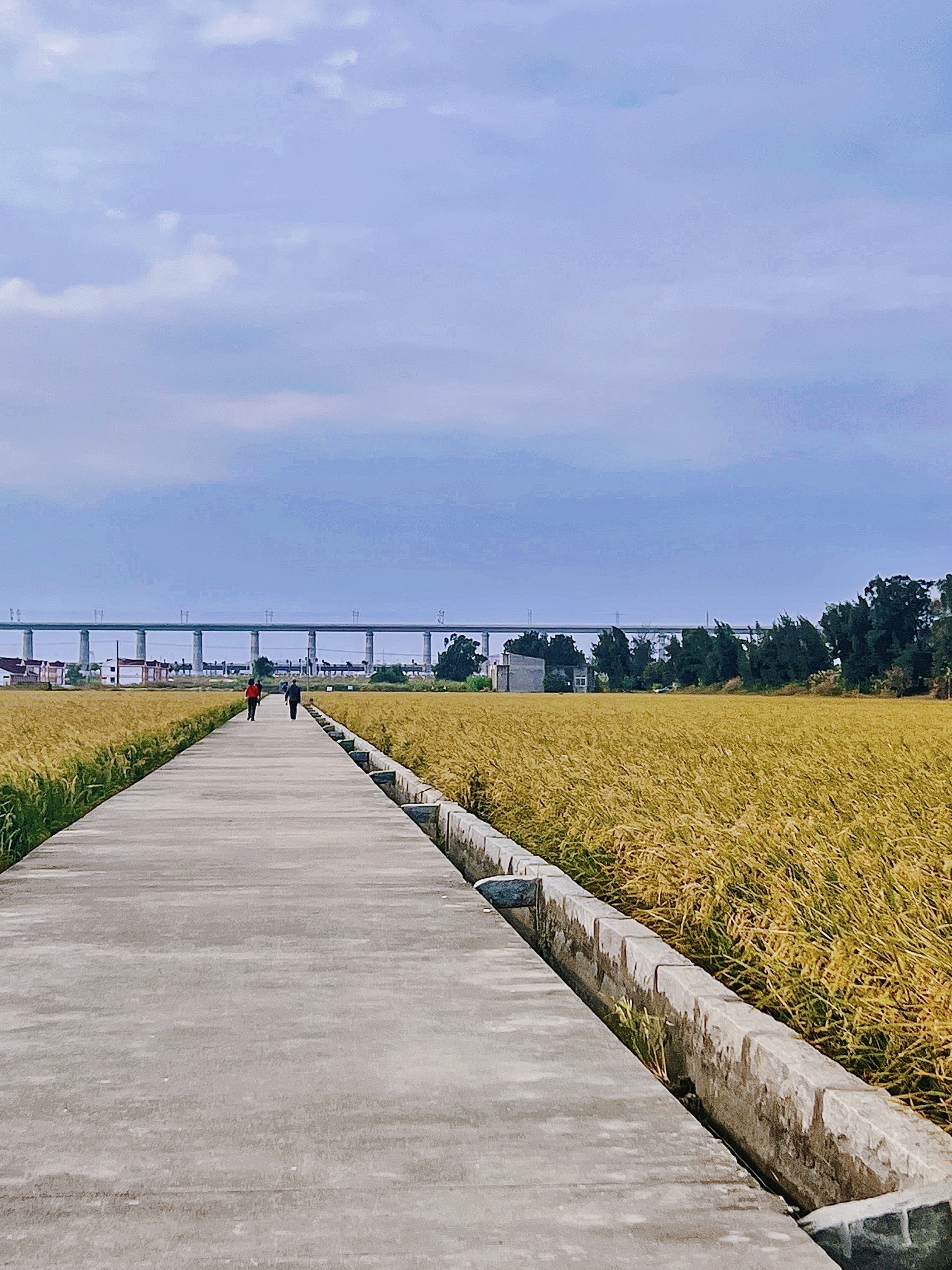 石狮湿地公园旅行图片 2