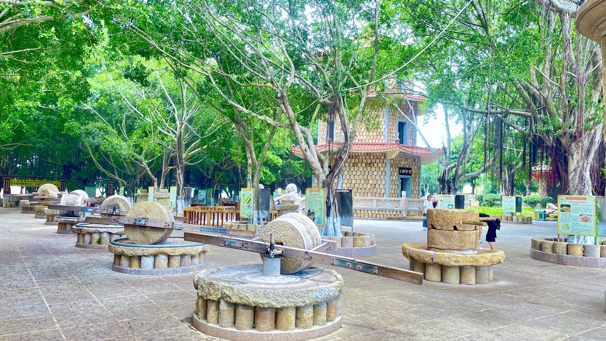 石狮湿地公园旅行图片 3
