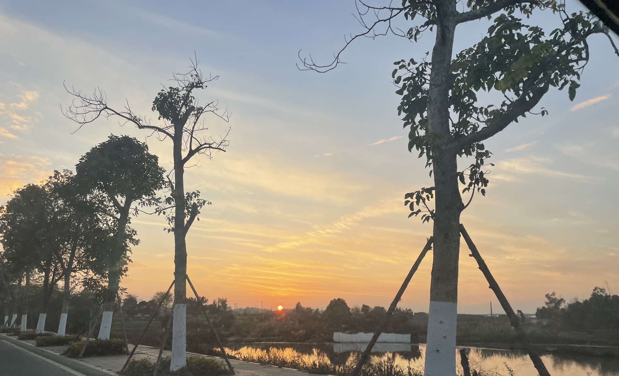 石狮湿地公园旅行图片 3