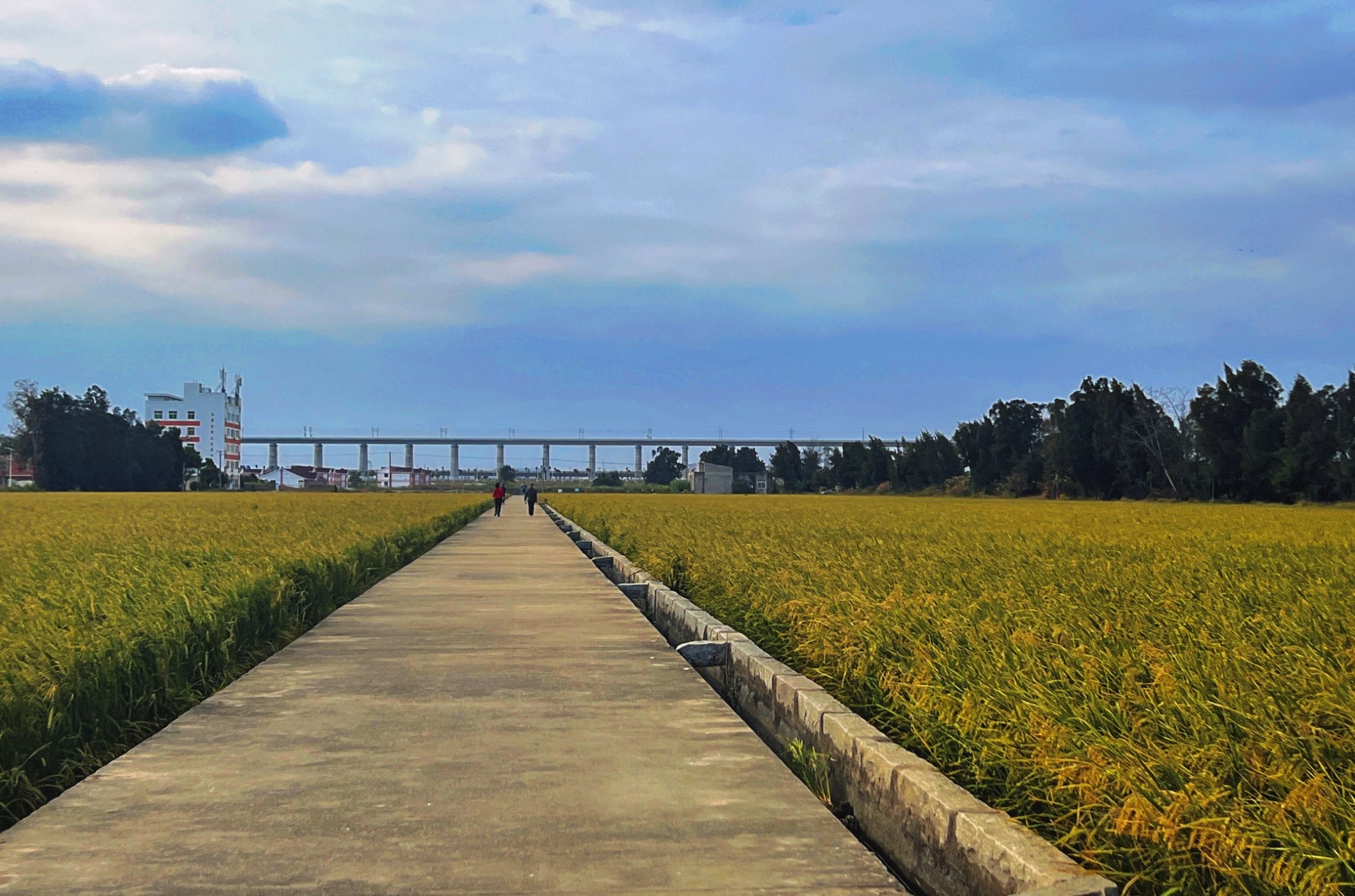 石狮湿地公园旅行图片 1