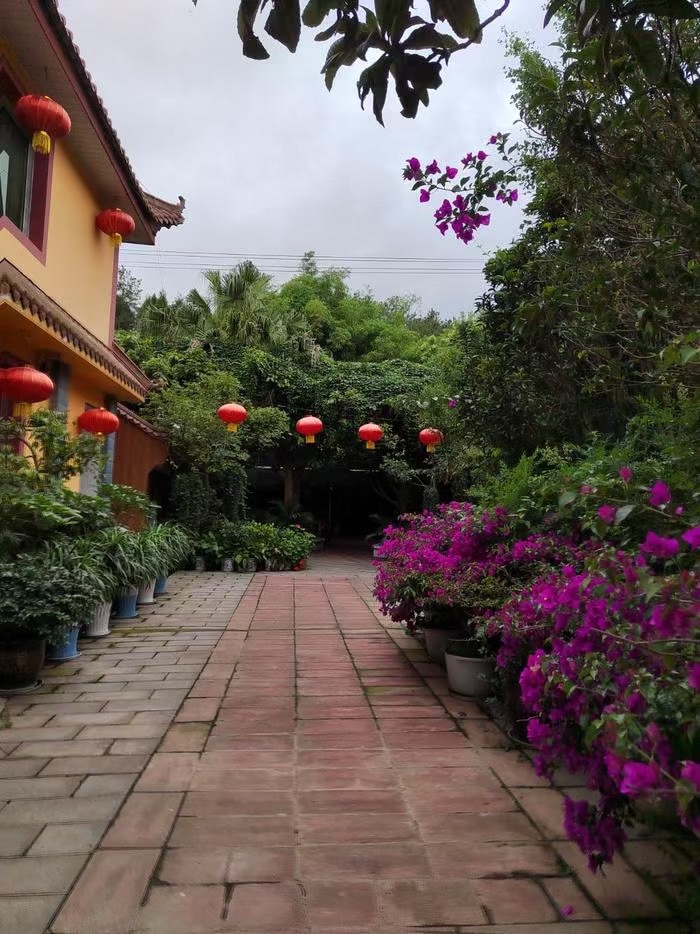 老龙山生态农业旅游风景区旅行图片 2