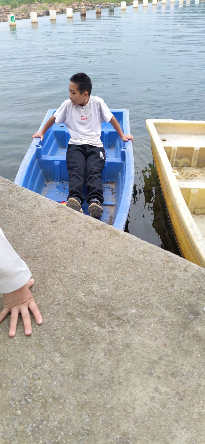 绣球广场旅行图片 2
