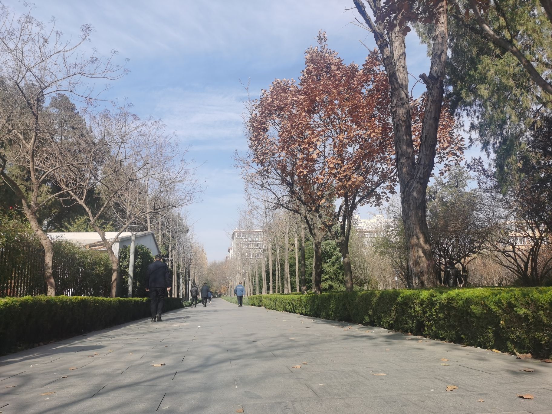 和平公园旅行图片 3
