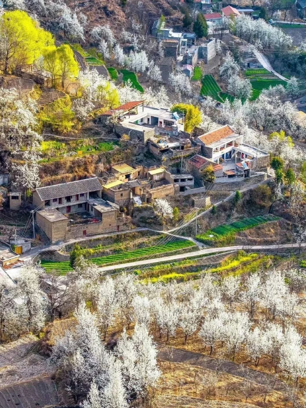 德胜世外梨园景区旅行图片 1