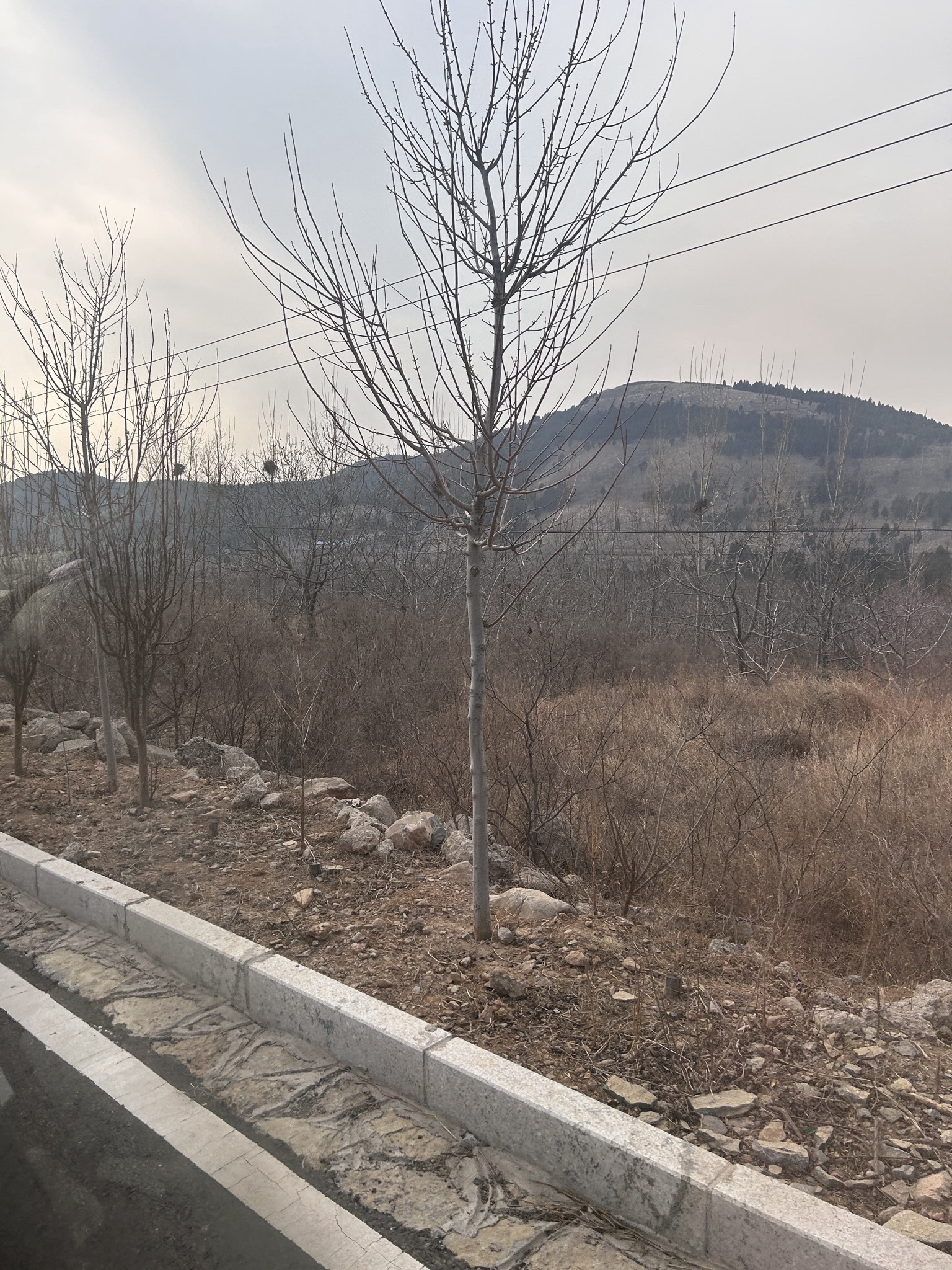 五埠岭伙大门景区旅行图片 3