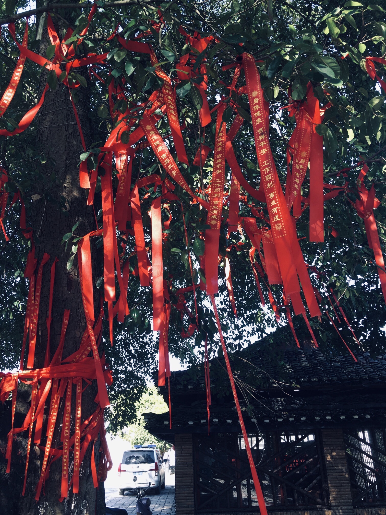 石围古村旅行图片 3