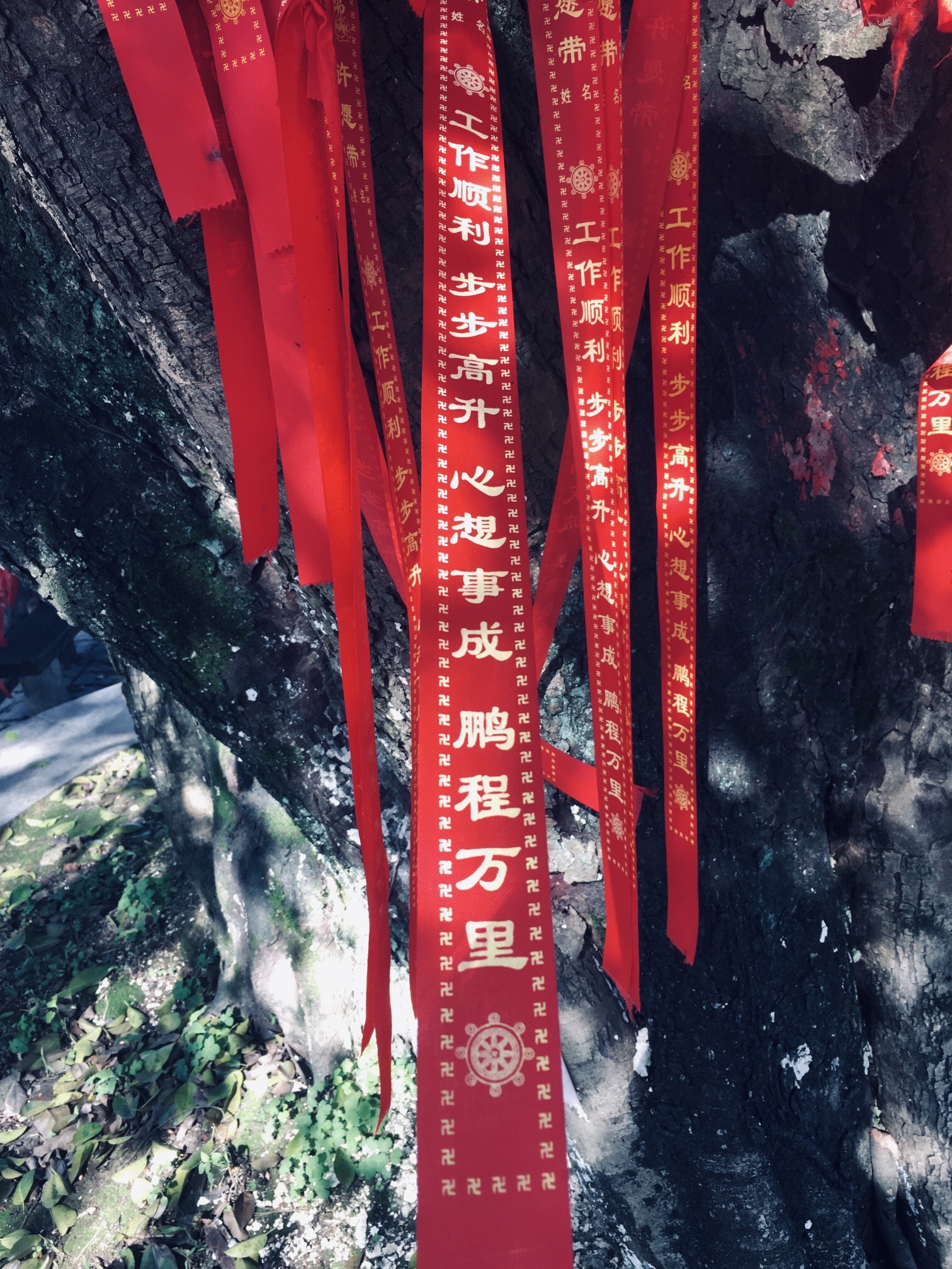 石围古村旅行图片 2