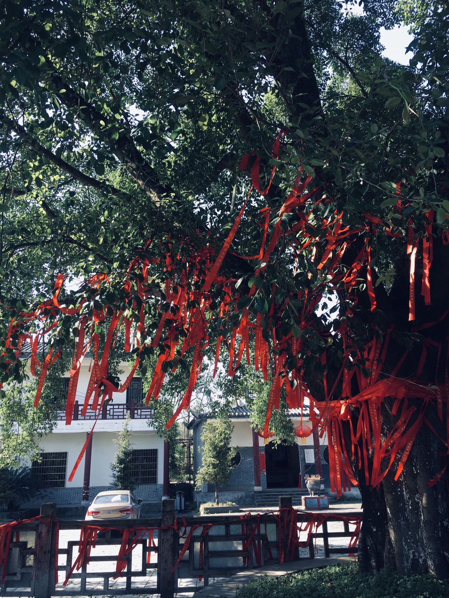 石围古村旅行图片 1