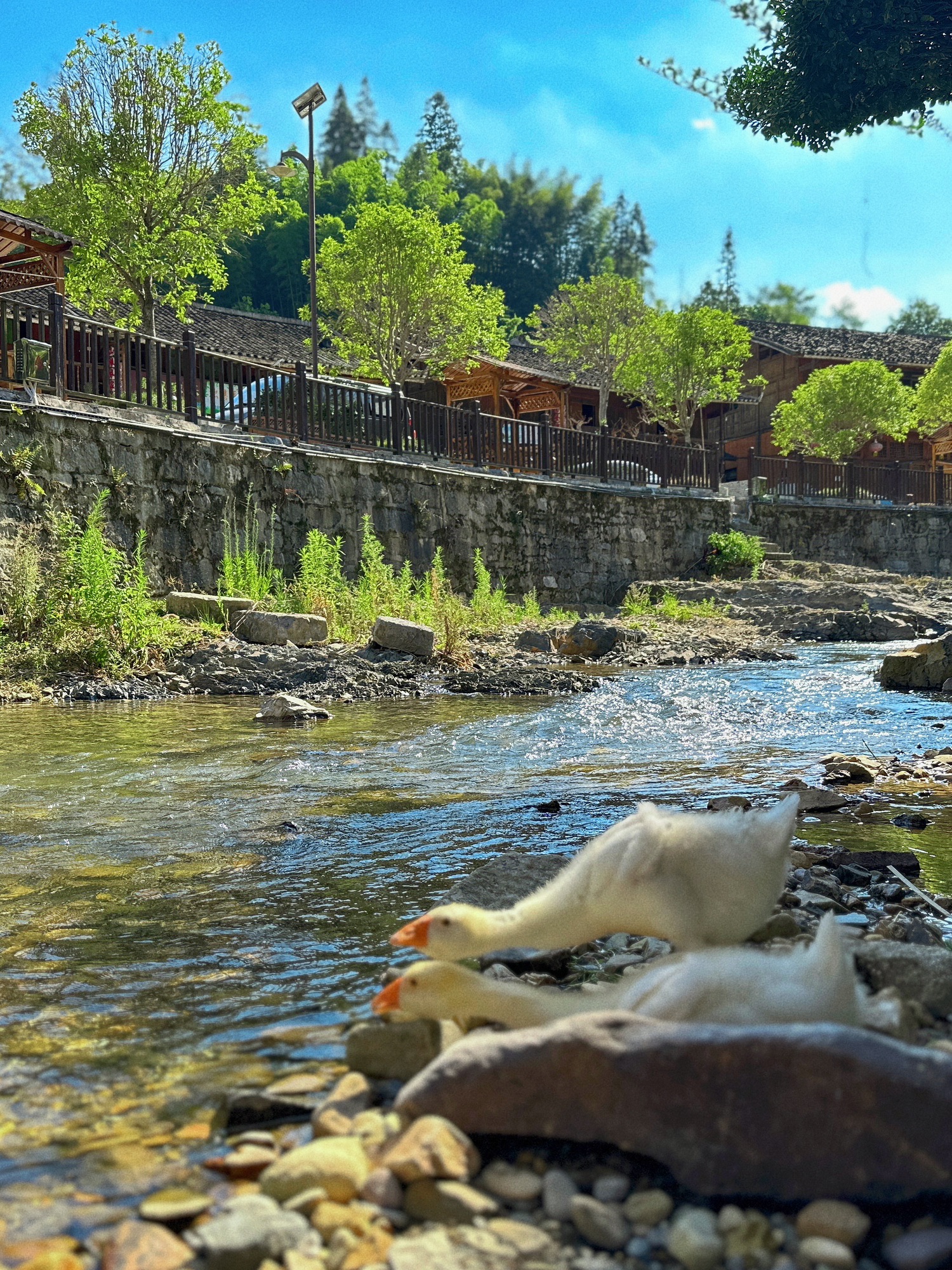 印江县团龙旅游景区