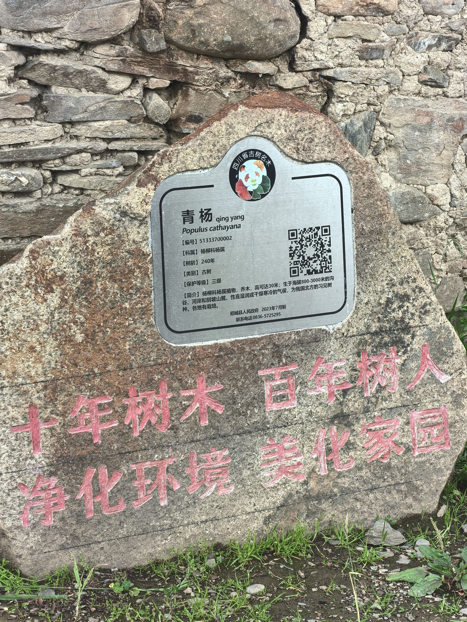自麦经堂旅行图片 3