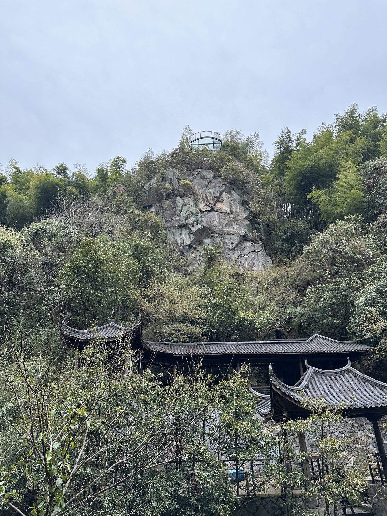 碧坞龙潭景区旅行图片 3