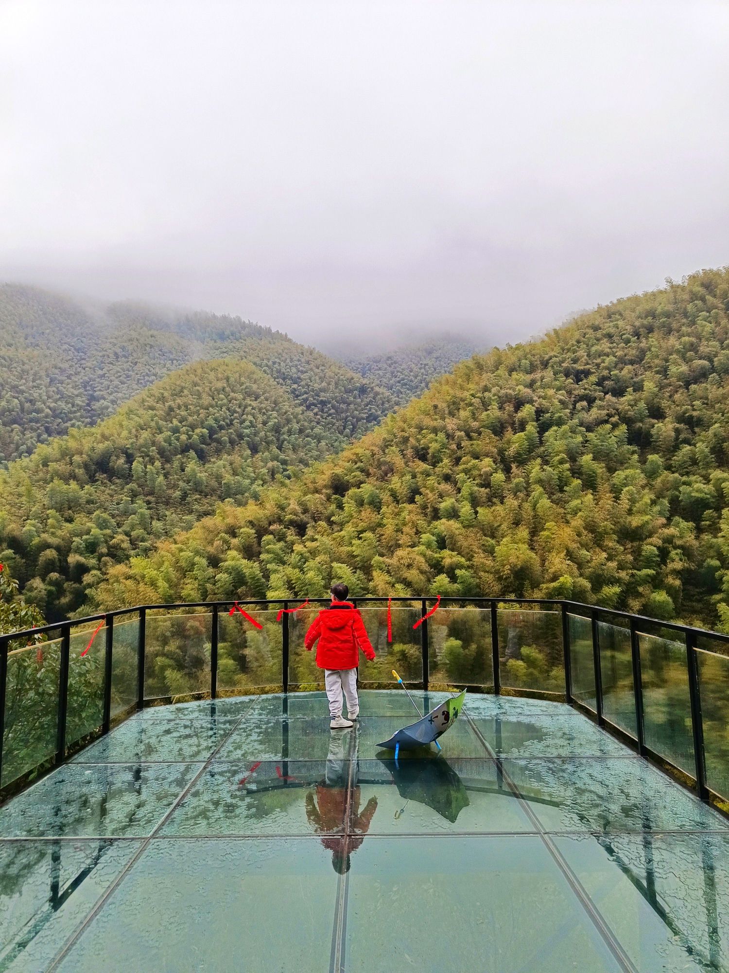 碧坞龙潭景区旅行图片 1