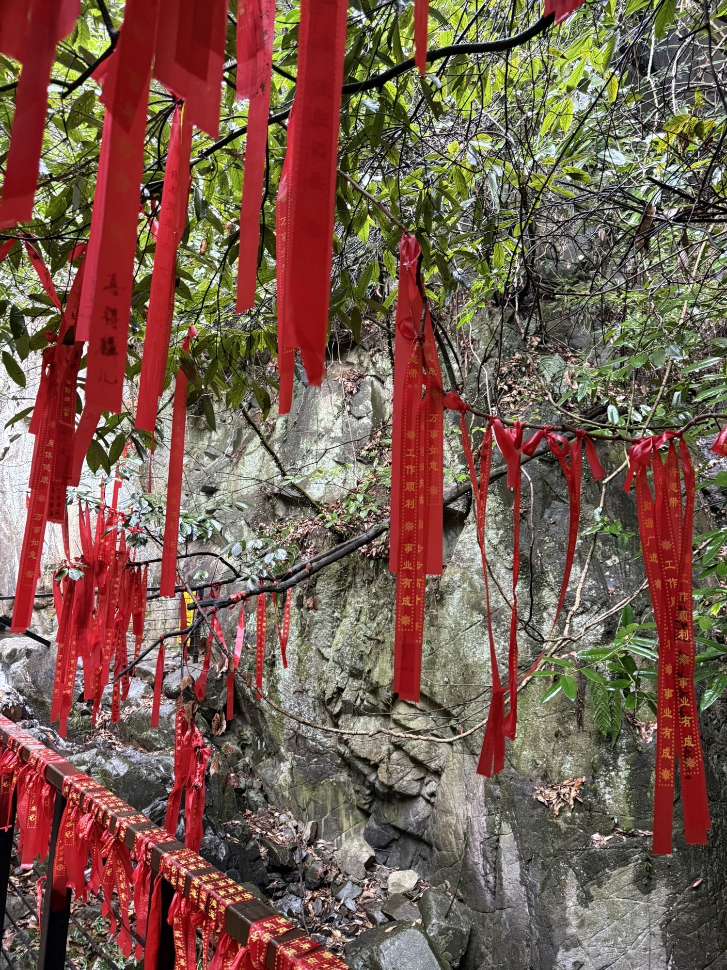 碧坞龙潭景区旅行图片 1