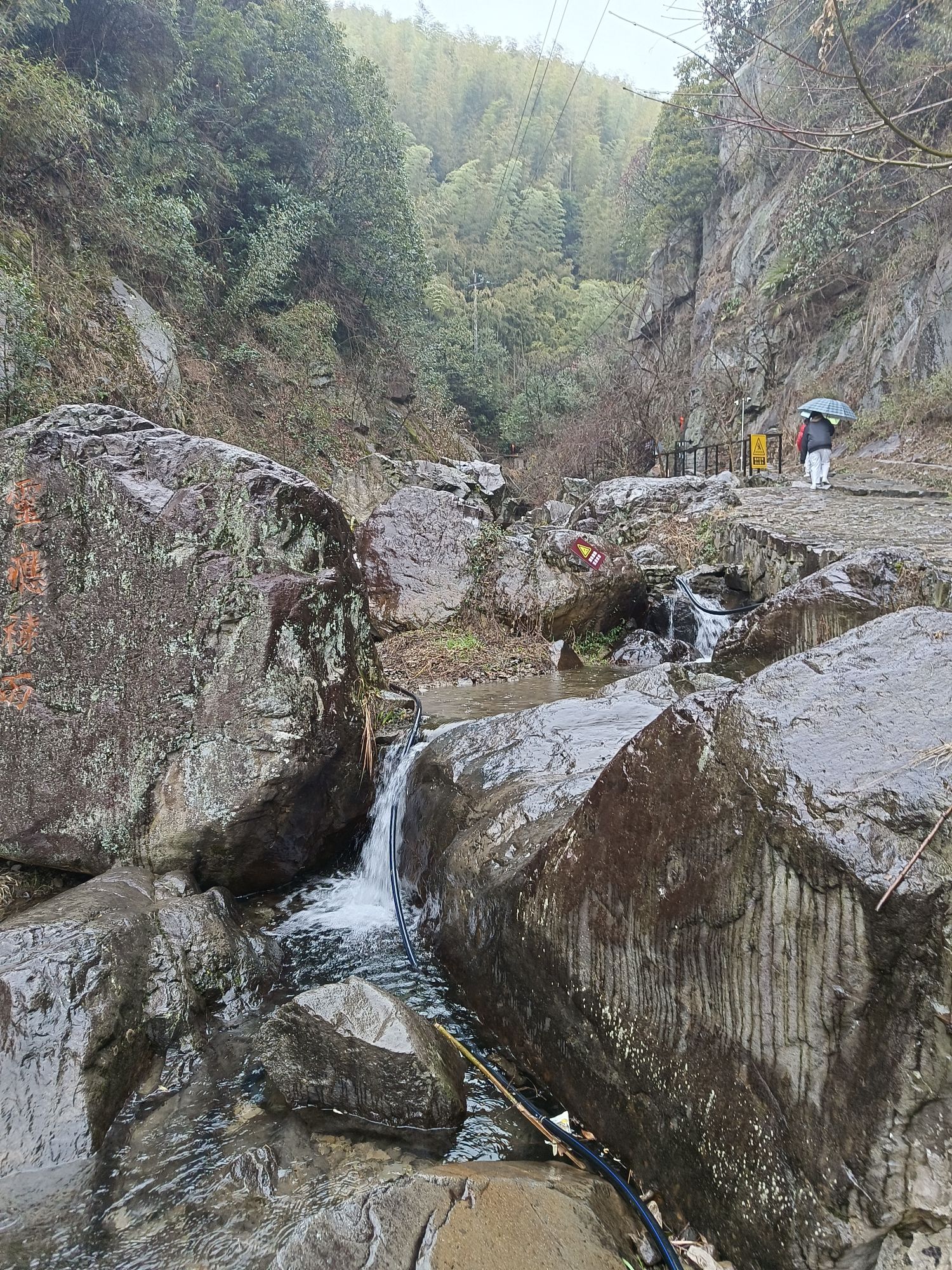 碧坞龙潭景区旅行图片 3