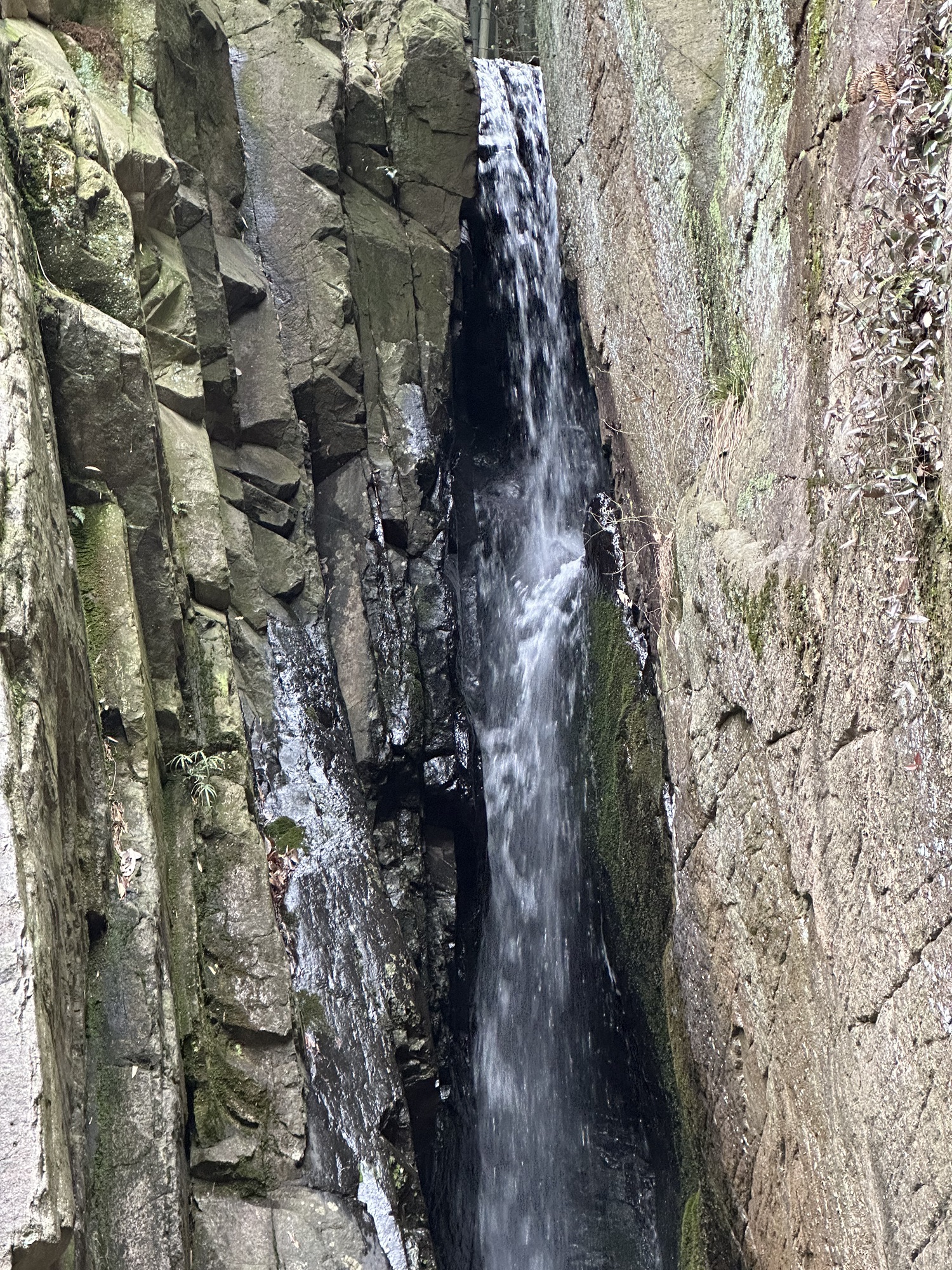 碧坞龙潭景区旅行图片 1