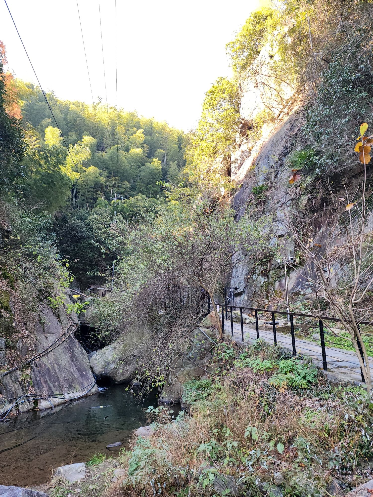 碧坞龙潭景区旅行图片 1
