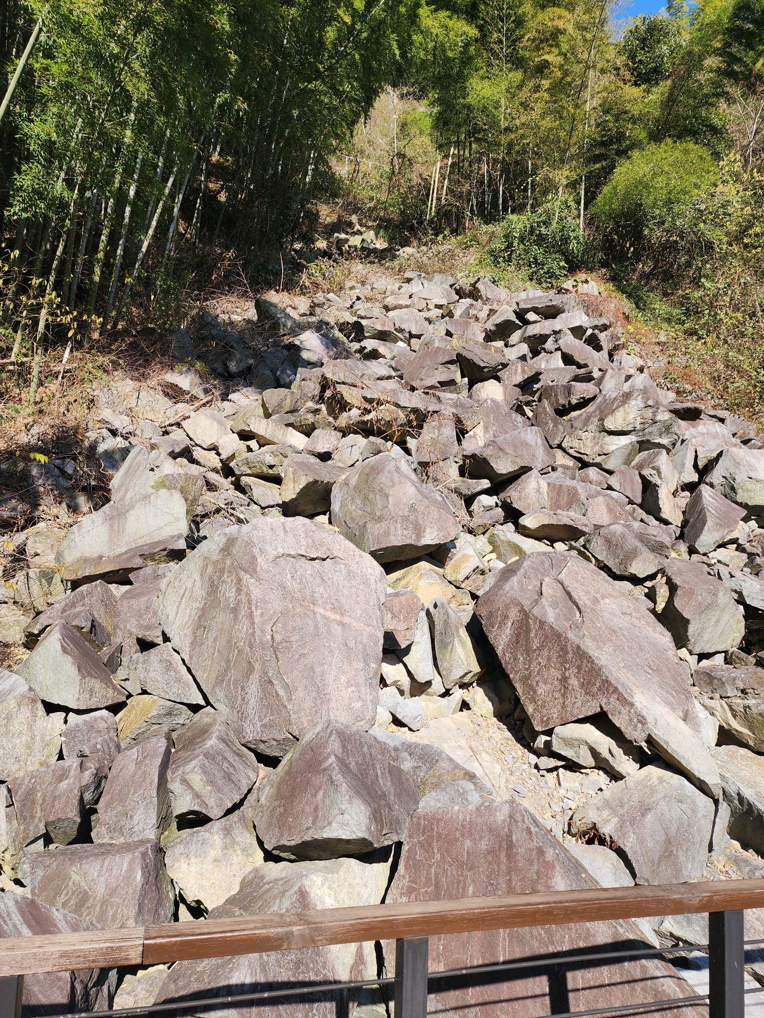 碧坞龙潭景区旅行图片 3
