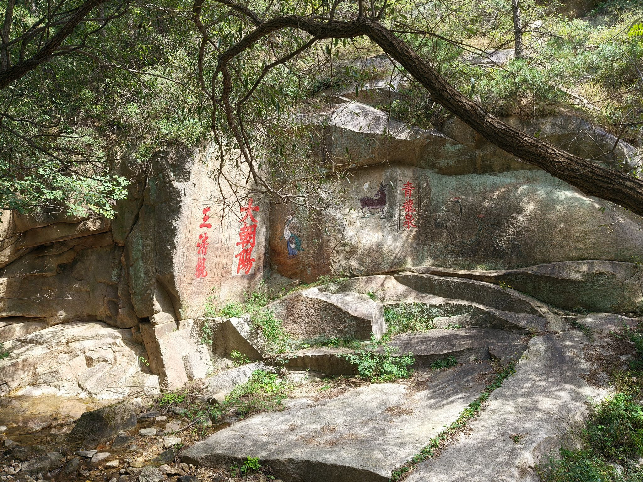 大朝阳国家森林公园