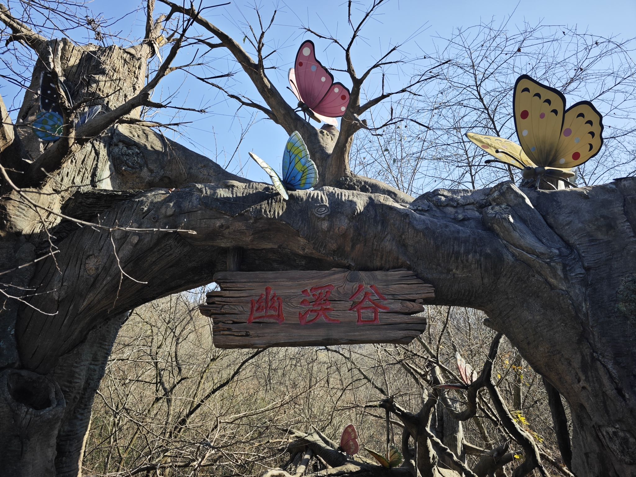 宝华山国家森林公园-幽溪谷