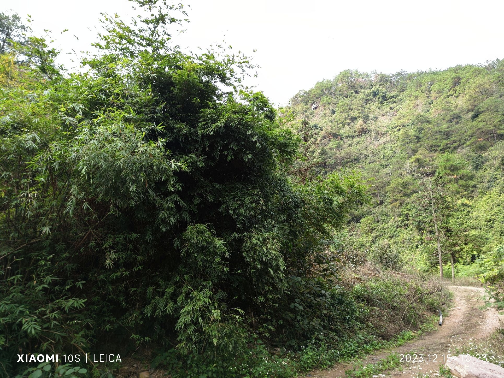天龙峡谷景区(暂停开放)旅行图片 1