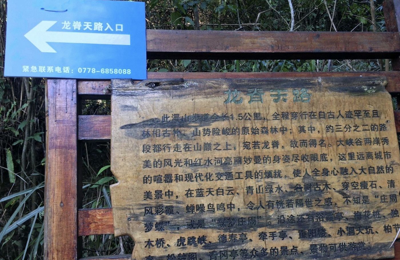 天龙峡谷景区(暂停开放)旅行图片 2