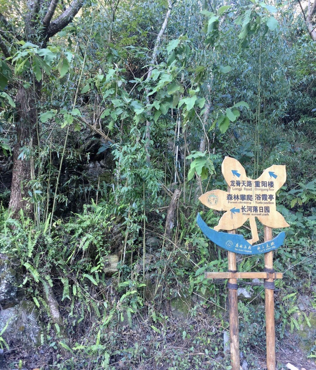 天龙峡谷景区(暂停开放)旅行图片 3