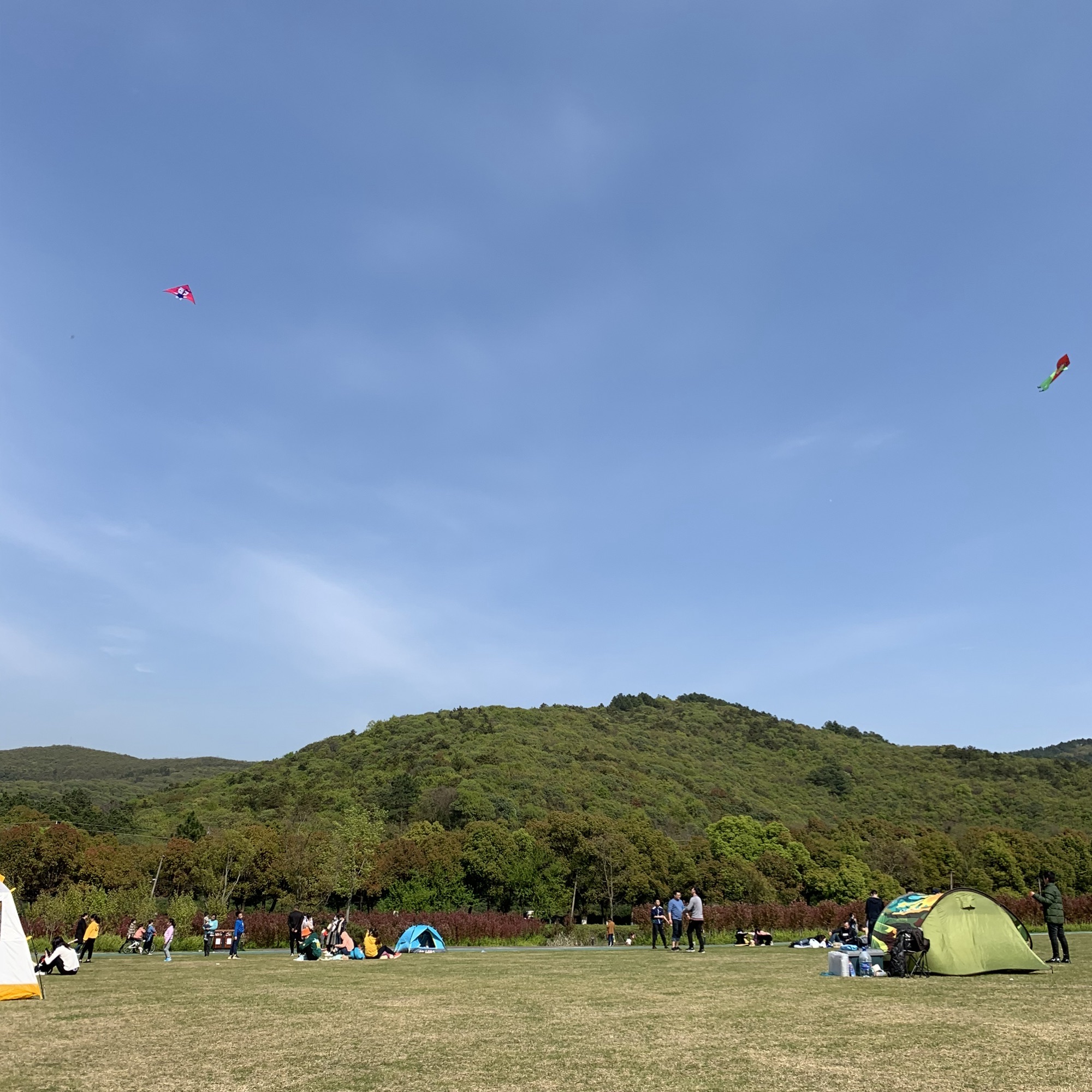 太湖湾海棠园旅行图片 1