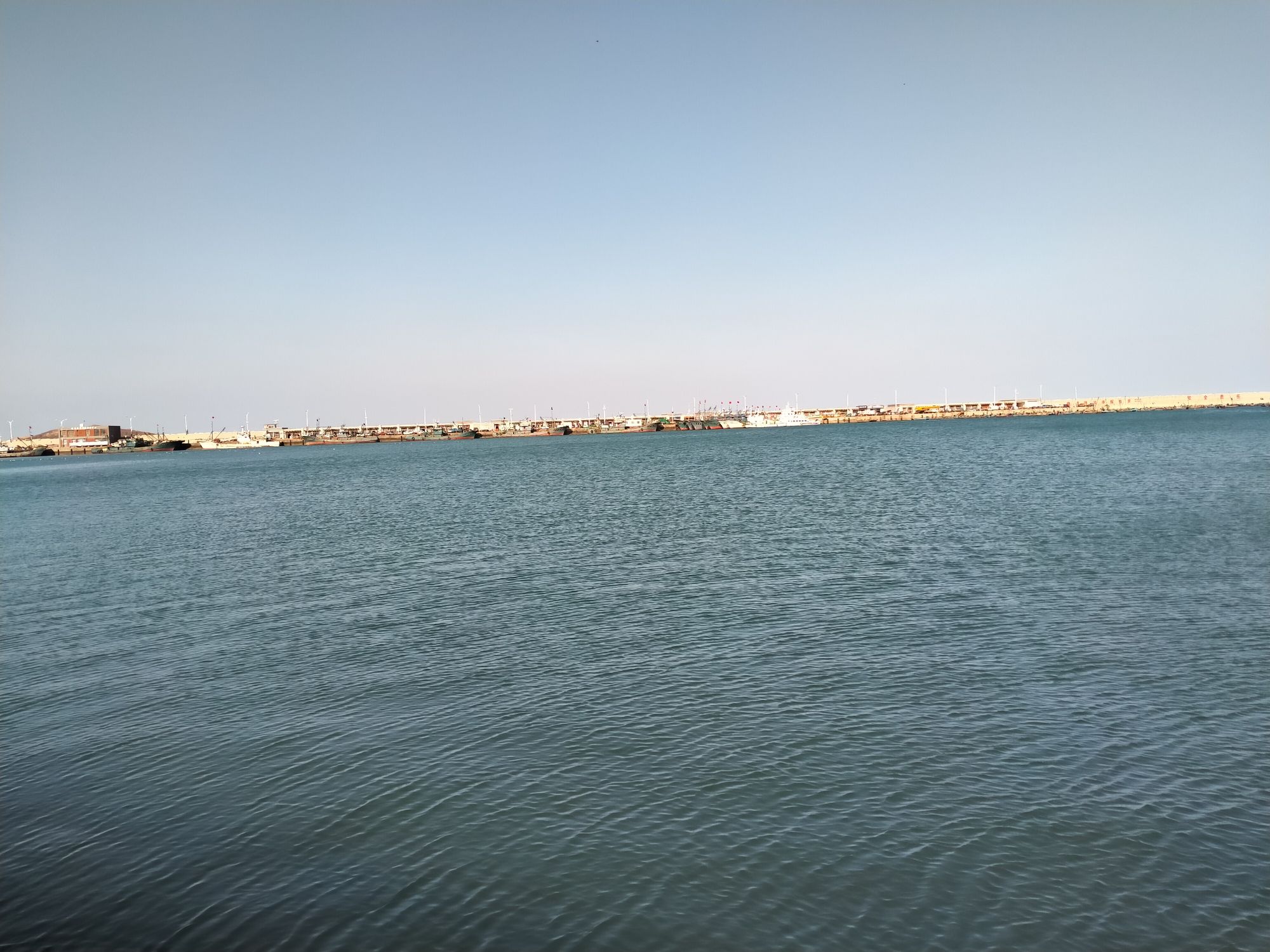 金海滩旅行图片 3