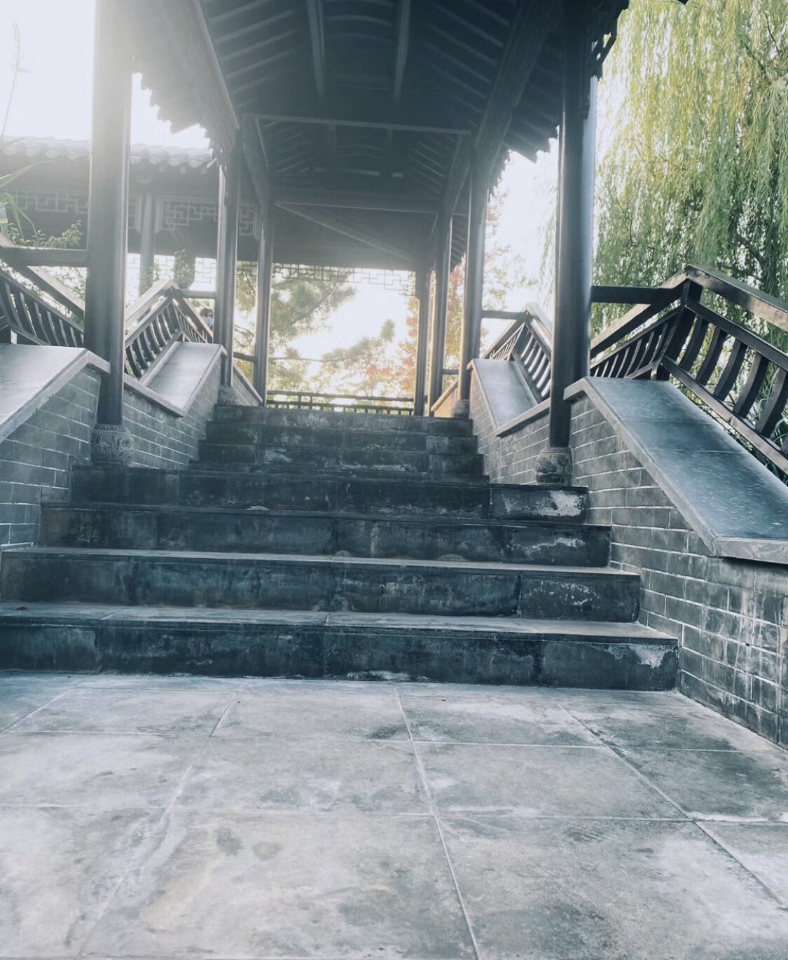 五山公园旅行图片 2