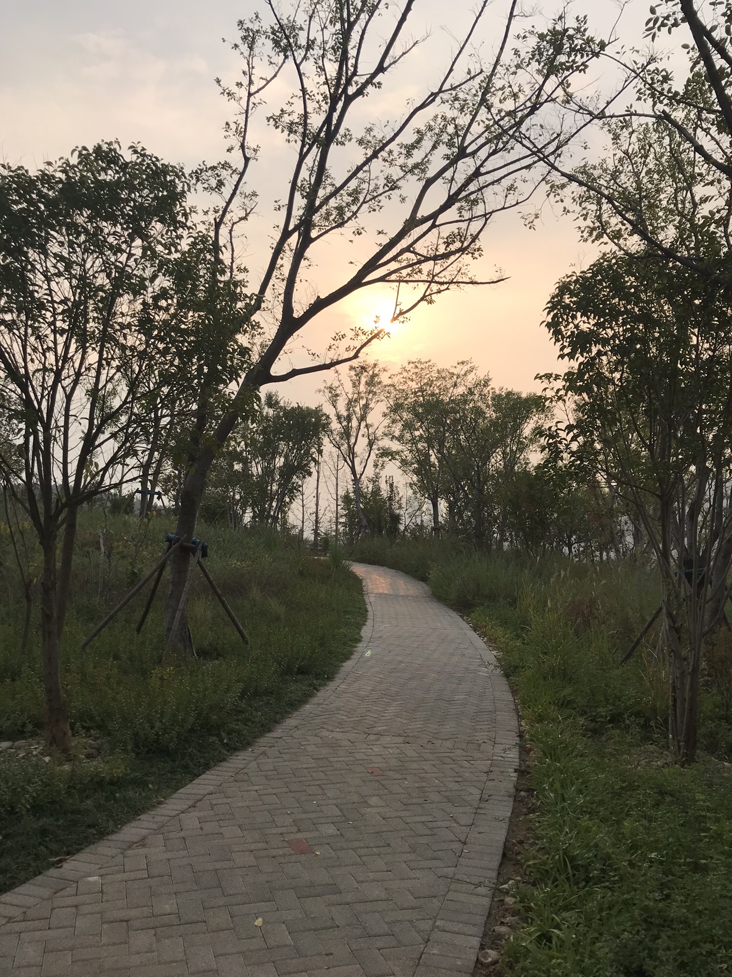 五山公园旅行图片 3