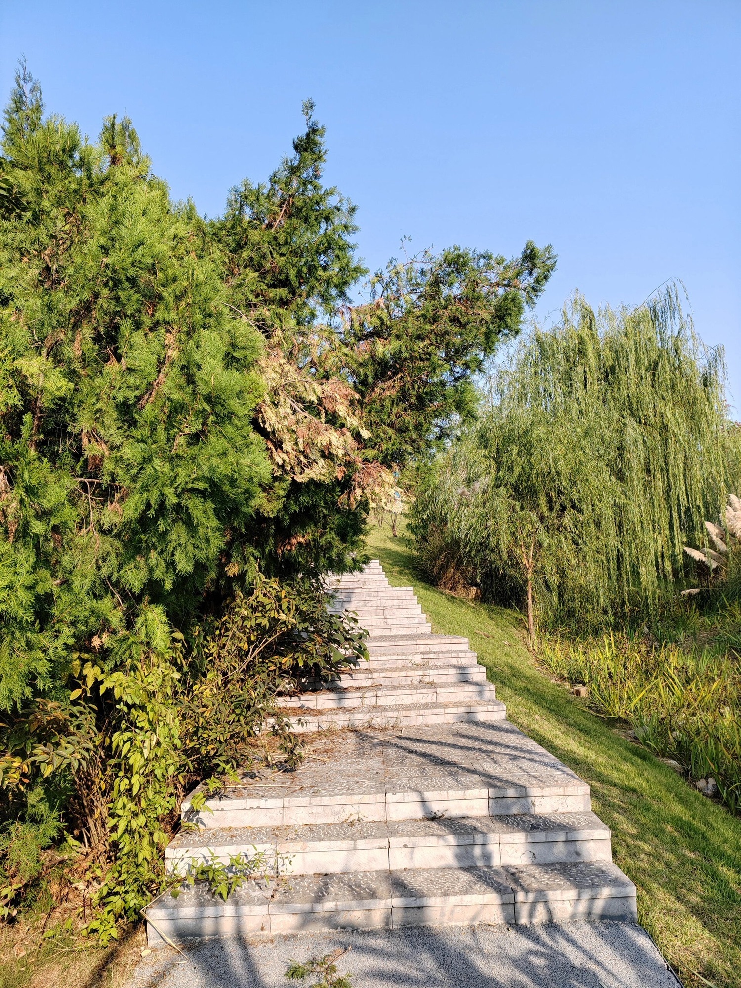 五山公园旅行图片 3