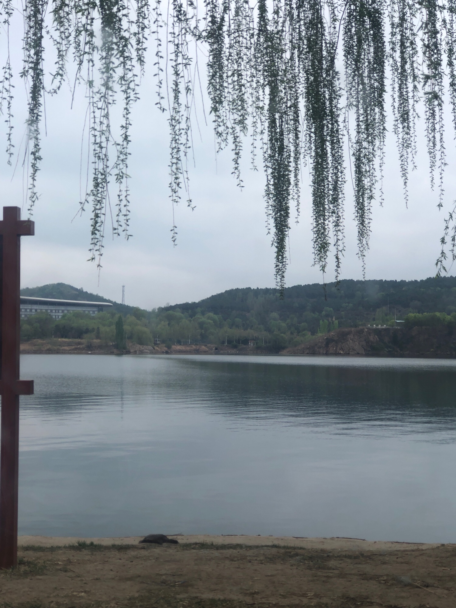 山东莱芜雪野湖国家湿地公园旅行图片 3